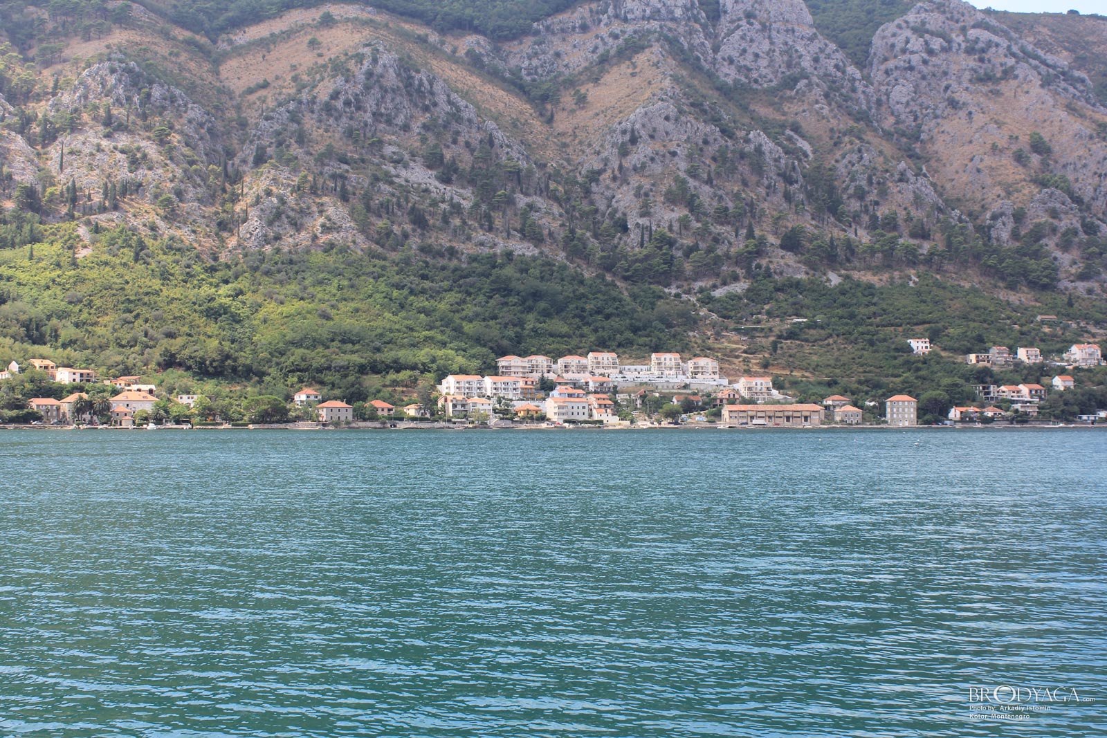 Kotor